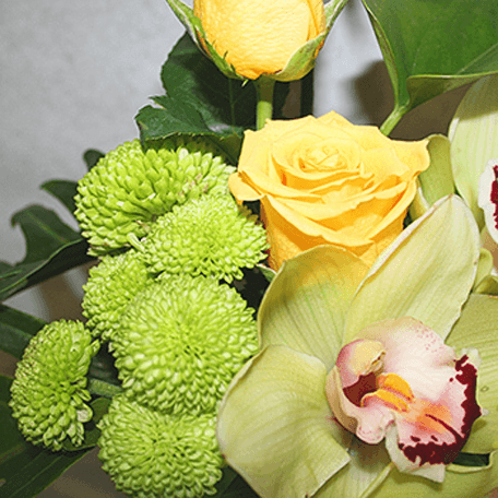 Produto: Verde Natura